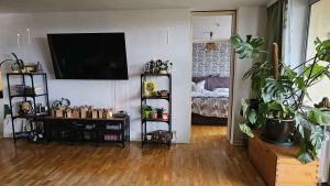 Wohnbereich/Zugang zum SZ