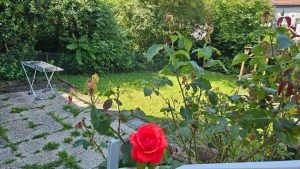 Gartenmitbenutzung