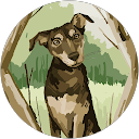 Profilbild von „Aiden Puff“